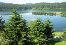 Oliverio: Inserire La Sila tra candidature Italiane Patrimonio Unesco