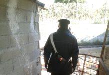 Carabinieri controllo del territorio, denunce e sanzioni amministrative