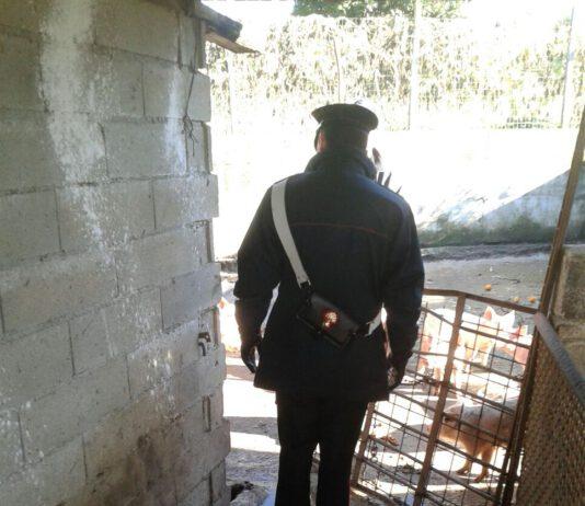 Carabinieri controllo del territorio, denunce e sanzioni amministrative