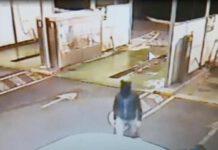 Tentata rapina mascherato da topo, preso autore