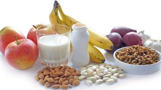 Zmedica- probiotici e prebiotici, cosa sono e a cosa servono
