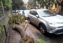 Pioggia e forte vento, disagi in Calabria