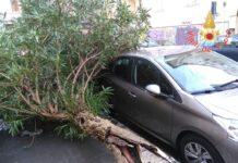 Maltempo, fortissimo vento su tutta Calabria causa disagi