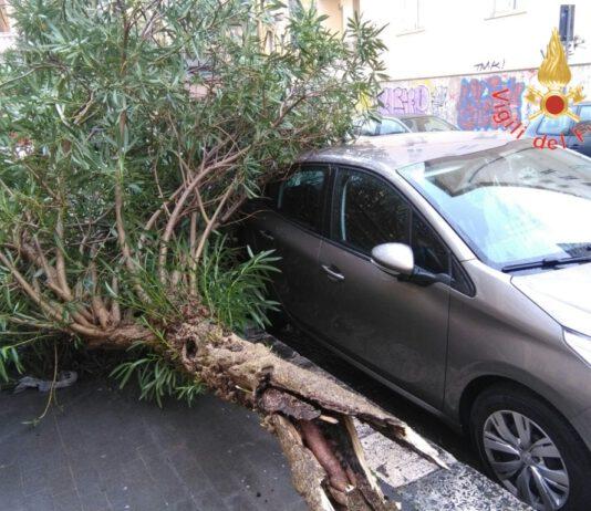 Maltempo, fortissimo vento su tutta Calabria causa disagi