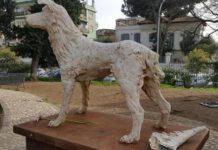 Danneggiata statua cane Angelo, ucciso e torturato in Calabria