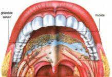 Infezioni del cavo orale in aumento: quasi 6000 cancri orofaringei all’anno in Italia. Dentisti e igienisti dentali prime sentinelle, anche per diabete e malattie cardiovascolari