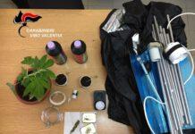 Serra di canapa indiana nella stanza da letto, arrestato 27enne