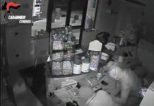 Rapine vestiti da carnevale, arrestati