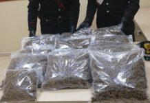 Gioia Tauro, sorpreso in auto con 11kg di marijuana