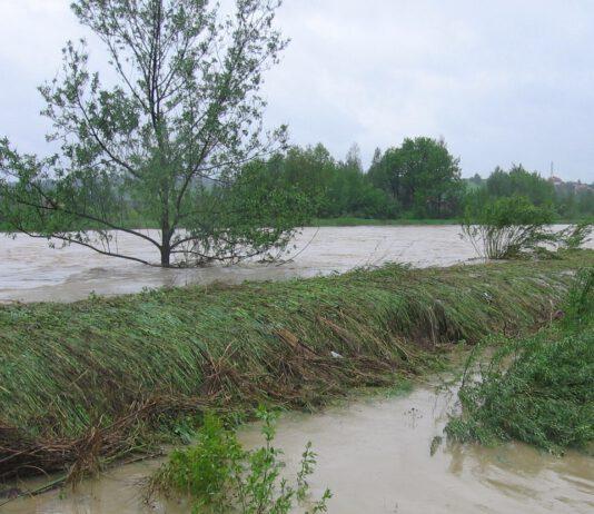 Eventi calamitosi fascia Jonica Reggina, Coldiretti chiede sopralluoghi