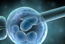 Combattere l’infertilità con la scienza: due nuove procedure scientifiche, l’acquisizione di gameti e la diagnosi preimpianto