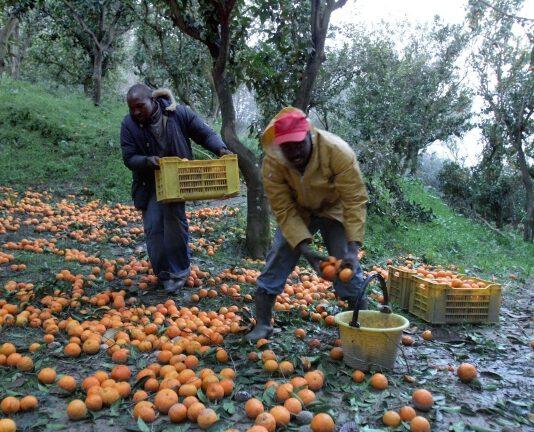 Caporalato, un arresto e sette denunce