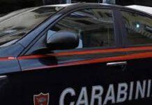 Macabra scoperta nel vibonese, nigeriano arrostisce cane per mangiarlo