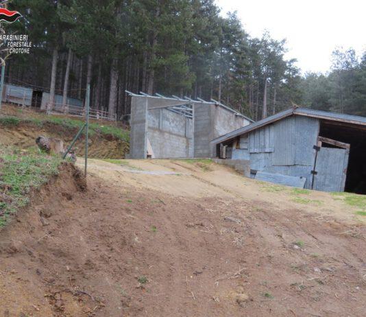 Manufatto abusivo in pineta, denunciata donna