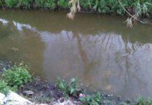 San Ferdinando, emergenza ambientale