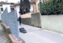 Aggrediscono anziano e postano video su web, identificati 5 minori