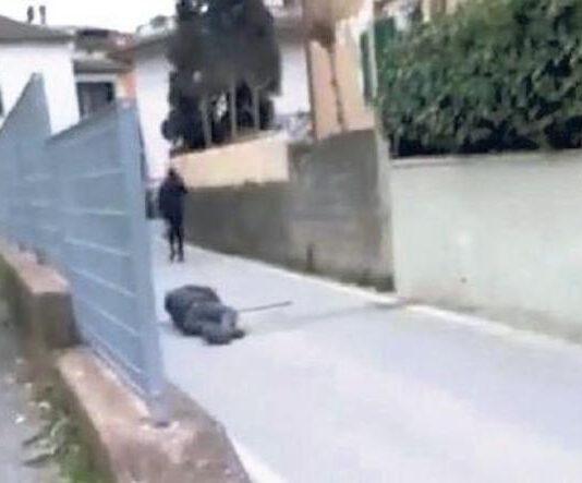 Aggrediscono anziano e postano video su web, identificati 5 minori