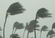 Maltempo, domani forti venti di burrasca su Calabria