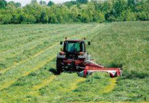 Rubati mezzi cooperativa sociale Alba a Polistena