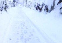 Cadavere di un uomo calabrese trovato tra la neve in Piemonte