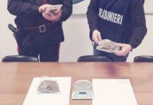 Marijuana nascosta nei sacchi della spazzatura, arrestato 36enne