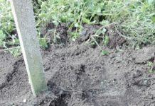 Attentato cooperativa Valle del Marro, danneggiato kiweto