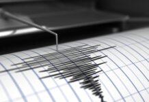 Scossa di terremoto magnitudo 3.2 in Calabria