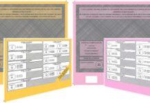 Elezioni Politiche, a Rosarno trionfa il Centrodestra