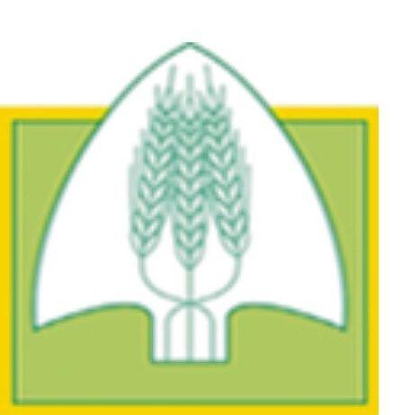 Coldiretti: Foreste, l’approvazione del testo unico dal Governo via libera alle opportunità per la montagna e aree interne