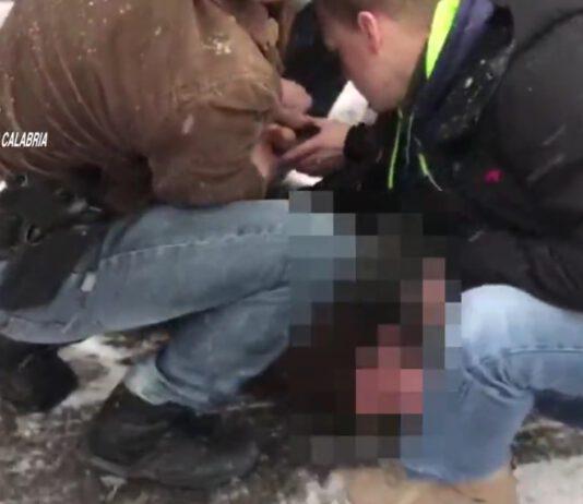 ‘Ndrangheta- Arrestato latitante di Palmi in Germania