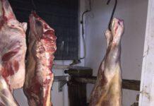 Focus ‘ndrangheta, sanzioni ad azienda zootecnica- Denunciato il titolare per macellazione clandestina, cattiva conservazione degli alimenti