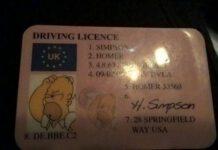 Fermato alla guida con la patente di “Homer Simpson”, denunciato