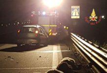 Auto investe gregge pecore che invade carreggiata, ferito conducente e morti ovini