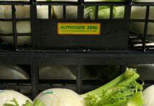 Coldiretti: i finocchi di Isola Capo Rizzuto (KR)- etichettati “Glifosate Zero”