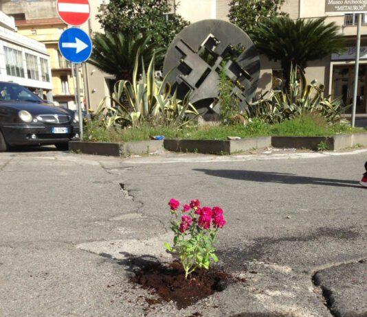 Gioia Tauro- protesta contro condizioni strade, piantati fiori nelle buche