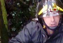 Cuccioli di cane intrappolati in canale acque, salvati dai Vigili del fuoco