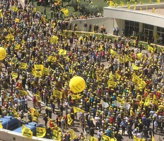 Coldiretti: il TAR Calabria ha disposto l’annullamento parziale del Piano Straordinario per l’accreditamento regionale per la vescicolare suina