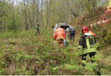 Uomo travolto da albero