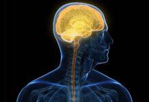 Italia sempre più anziana: aumentano ictus, lesioni del midollo spinale e sclerosi multipla. Entro 25 anni le demenze negli over80 raddoppieranno