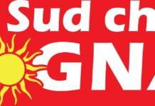 Nasce un nuovo movimento politico culturale in Calabria, IL SUD CHE SOGNA.