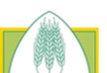 Il primo mercato calabrese al coperto di “Campagna Amica” diventa realtà