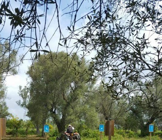 Rosarno, lavori di riqualificazione Parco archeologico
