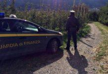 Scoperti 600 falsi braccianti, danni allo Stato per 4 milioni di euro