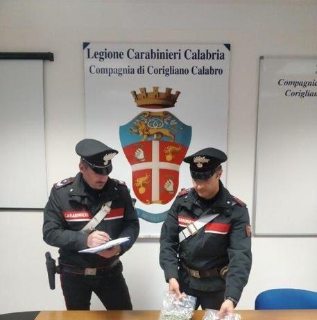 Tentano di disfarsi di droga, arrestati coniugi