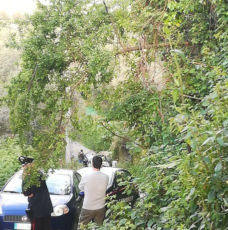 Limbadi- Bomba in auto, muore 42enne