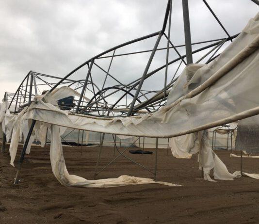 Coldiretti: il forte e caldo vento ha sferzato l’area del lametino provocando danni ingenti alle strutture serricole e alle colture