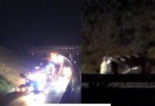 Spaventoso incidente in autostrada tra Rosarno e Gioia Tauro, coinvolte 4 auto