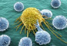 Il ruolo della biologia molecolare e dell’immunoterapia nei nuovi corsi diagnostico-terapeutici in oncologia: Esperti a confronto