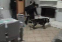 Operazione “Fructorum”, i nomi degli arrestati