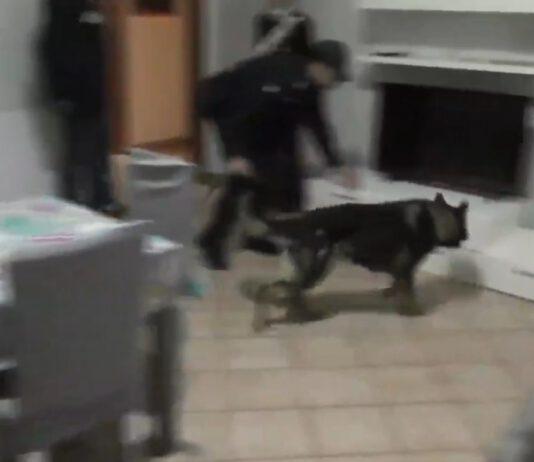 Operazione “Fructorum”, i nomi degli arrestati